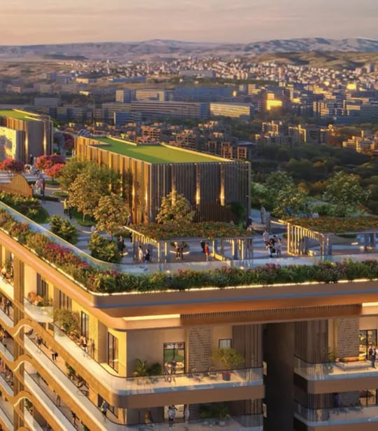 Real Estate Industry